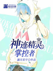 神奇宝贝之精灵掌控者全文免费阅读